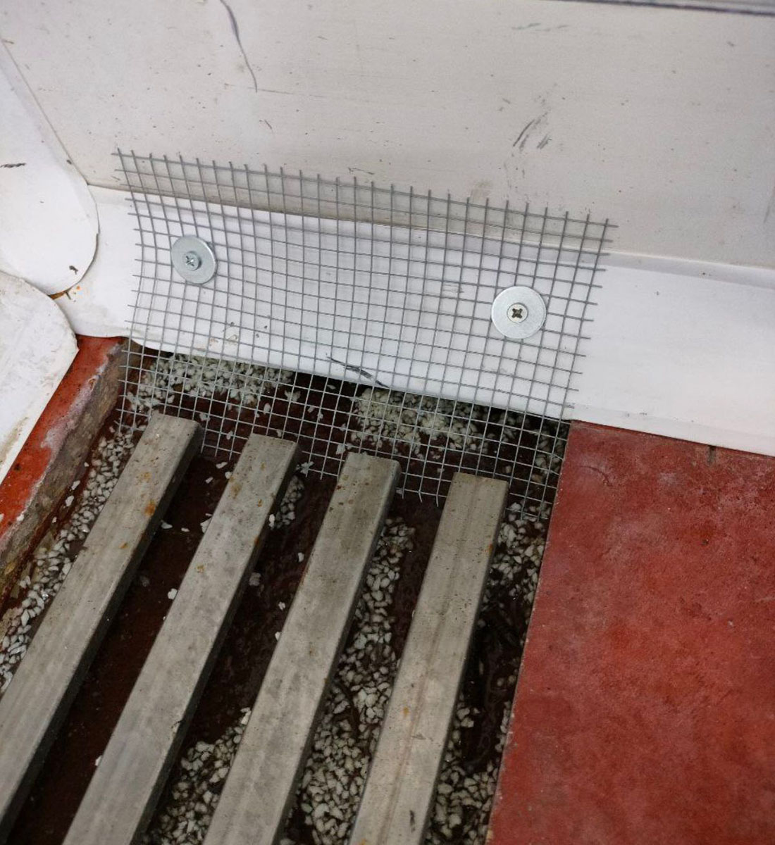 pestproofing_gallery_1