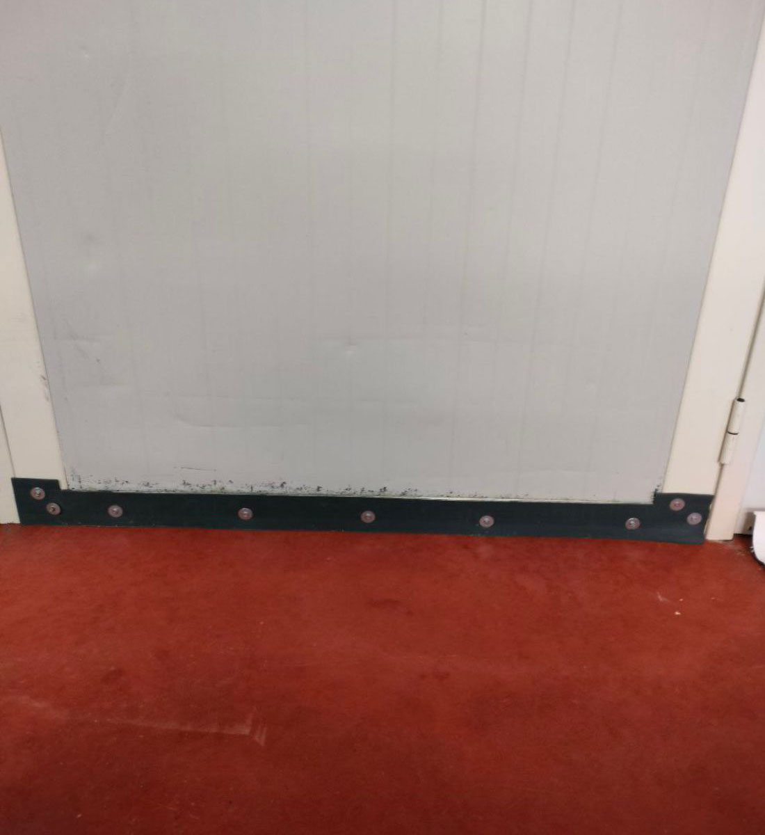 pestproofing_gallery_4