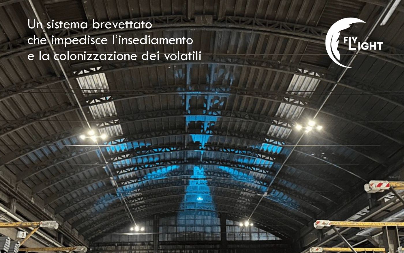 volatili_flylight