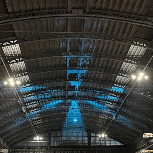 Flylight – la luce come strumento efficace per l’allontanamento dei volatili