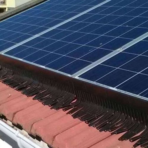 Protezione dei pannelli fotovoltaici dai volatili molesti